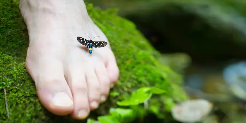 Un fluture asezat pe un picior gol asezat pe o piatra acoperita cu muschi verde langa un parau
